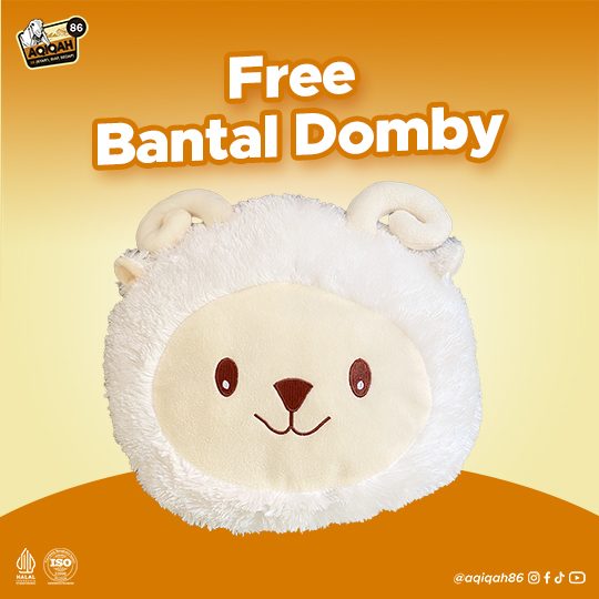 Benefit Bantal Domby