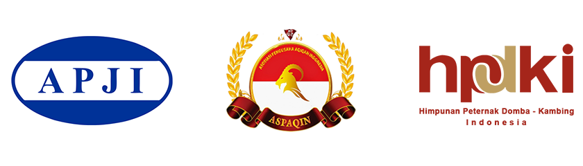 logo-logo